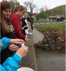 APES - Water Testing