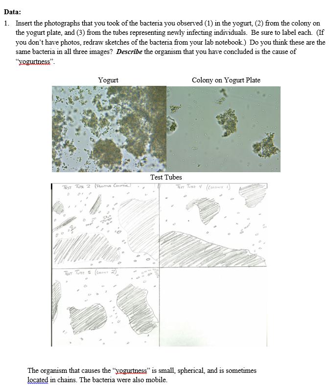mol bio